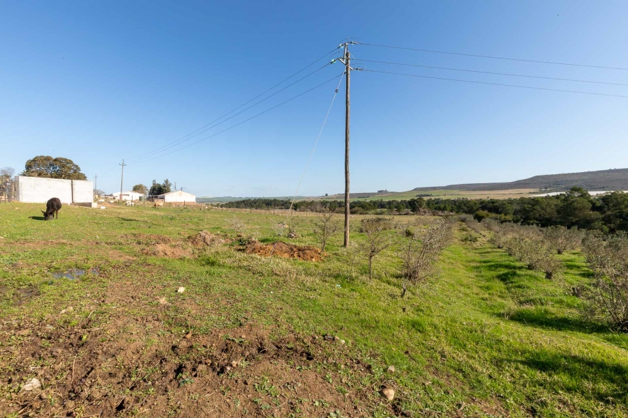 3 Bedroom Property for Sale in Riversdale Rural Western Cape